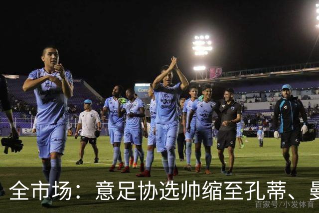 全市场：意足协选帅缩至孔蒂、曼奇尼