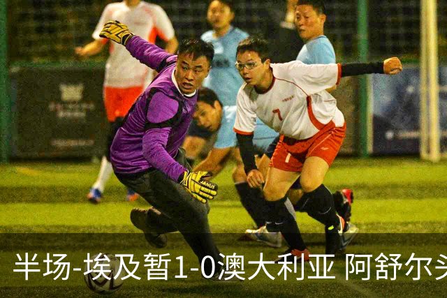 半场-埃及暂1-0澳大利亚 阿舒尔头球破门哈菲兹助攻沃尔帕托中框