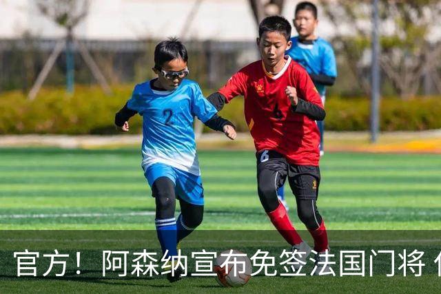 官方！阿森纳宣布免签法国门将 伊兰-梅利耶加盟披30号