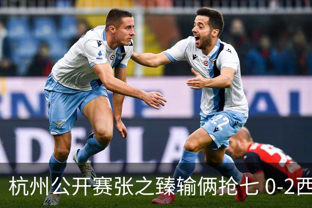杭州公开赛张之臻输俩抢七 0-2西里奇收获亚军